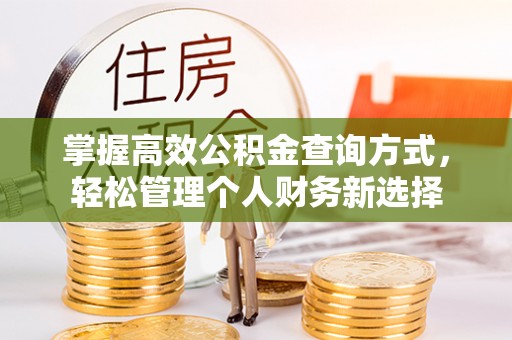临猗掌握高效公积金查询方式，轻松管理个人财务新选择